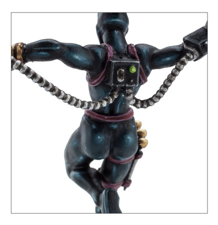 IMPERIAL AGENTS: CALLIDUS ASSASSIN