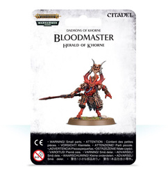 Warhammer AoS Bloodmaster Herald of Khorne