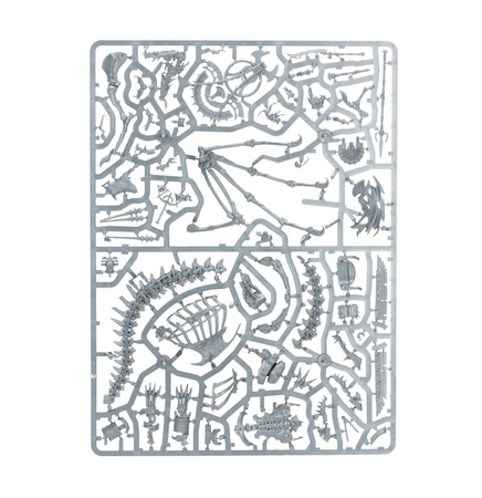 TOMB KING/LICHE PRIEST ON NECROLITH BONE DRAGON