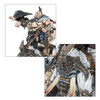 Warhammer AoS Huskard on Thundertusk