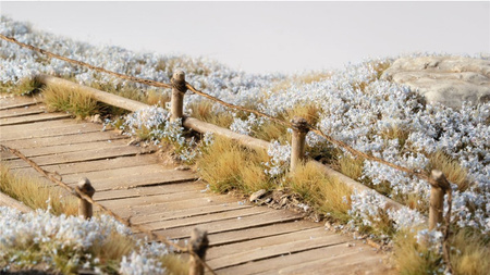 Gamers Grass: Light Blue Lilac Flowers