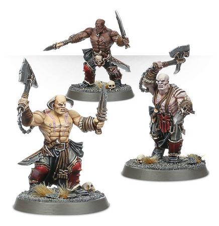 Warhammer AoS Bloodreavers