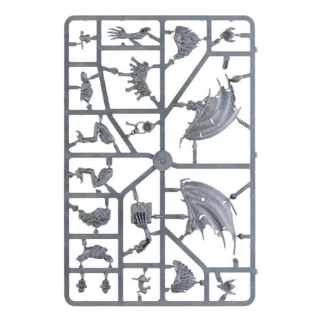 Warhammer AoS Crypt Flayers