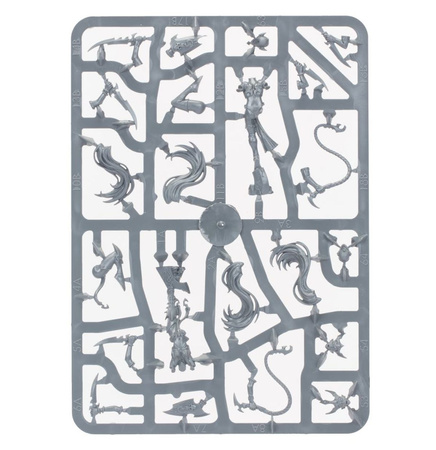 Warhammer AoS WITCH AELVES