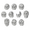 Green Stuff World 85x Resin Skulls