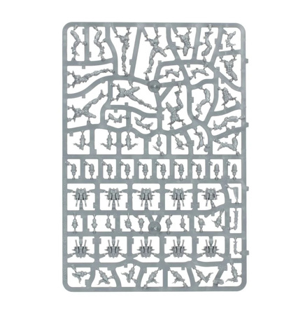 Warhammer 40K COMBAT PATROL Aeldari