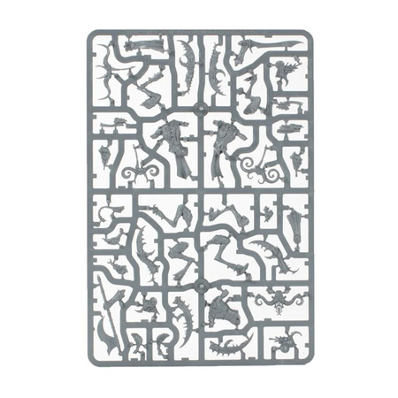 Warhammer VANGUARD: Hedonites Of Slaanesh