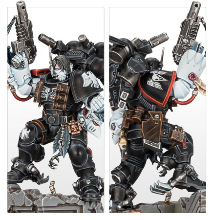 RAVEN GUARD KAYVAAN SHRIKE