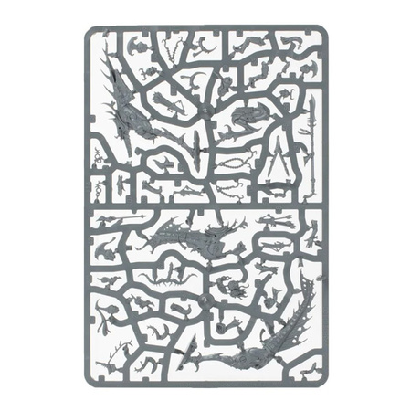 Warhammer VANGUARD: Hedonites Of Slaanesh