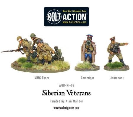 BOLT ACTION Siberian Veterans boxed set