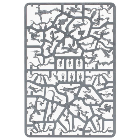 Warhammer VANGUARD: Hedonites Of Slaanesh