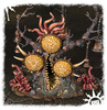 Warhammer AoS FECULENT GNARLMAW
