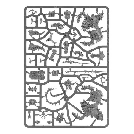 Warhammer AoS EVERCHOSEN VARANGUARD