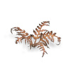 Gamers Grass: Laser Plants - Dry Bracken - Wysuszona paproć