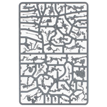 Warhammer VANGUARD: Hedonites Of Slaanesh