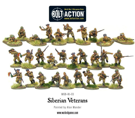 BOLT ACTION Siberian Veterans boxed set