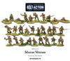 BOLT ACTION Siberian Veterans boxed set