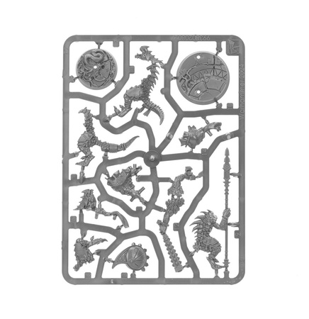 SPEARHEAD: SERAPHON SUNBLOODED PROWLERS