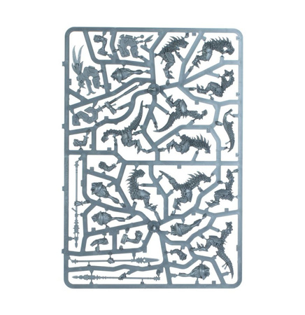 SPEARHEAD: SERAPHON SUNBLOODED PROWLERS