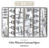 Hail Cesar: Celtic Warriors
