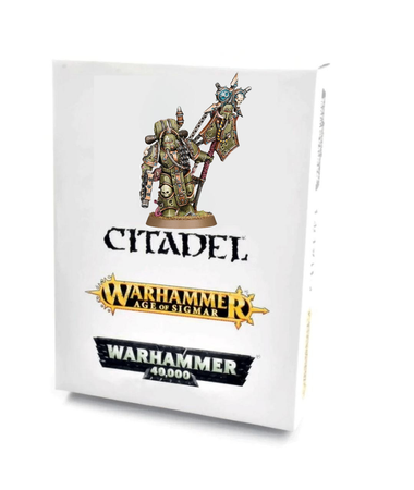 Warhammer 40K Plague Marine Icon Bearer