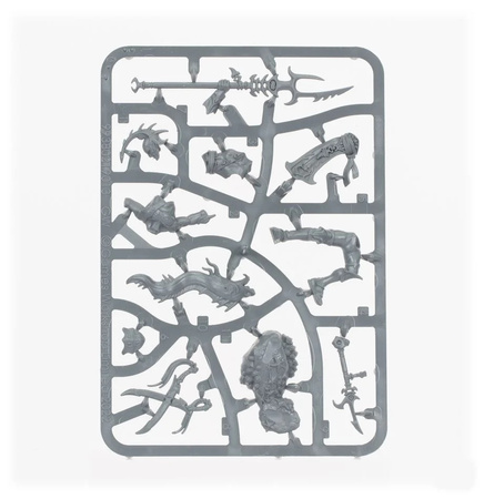 Warhammer AoS Akhelian Thrallmaster