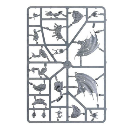 Spearhead: Soulblight Gravelords – Bloodcrave hunt