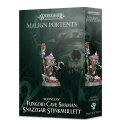 Warhemmr AoS Fungoid Cave-Shaman Snazzgar Stinkmullett