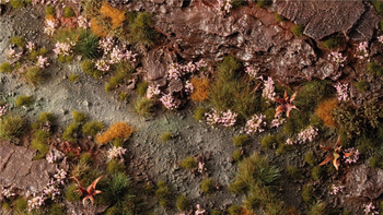 Gamers Grass: Pink Orchid Tiny Flowers