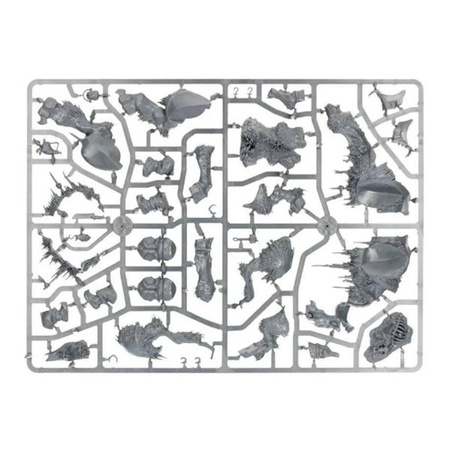 Warhammer AoS Huskard on Thundertusk