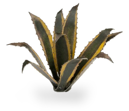 Gamers Grass: Laser Plants - Agave - Agawa