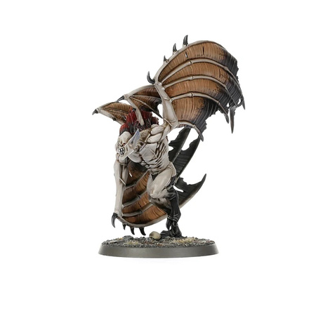 Warhammer VANGUARD: Soulblight Gravelords