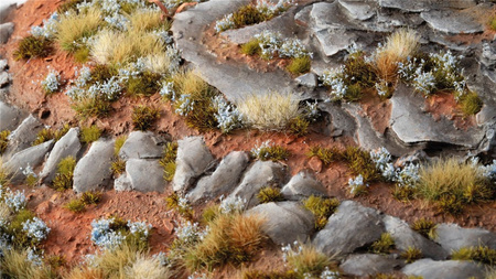 Gamers Grass: Forget-me-not Tiny Flowers