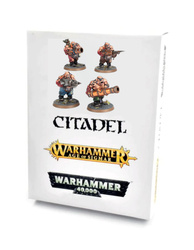 Warhammer AoS Leadbelchers