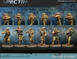 SPECTRE MINIATURES - SAS CQB Element